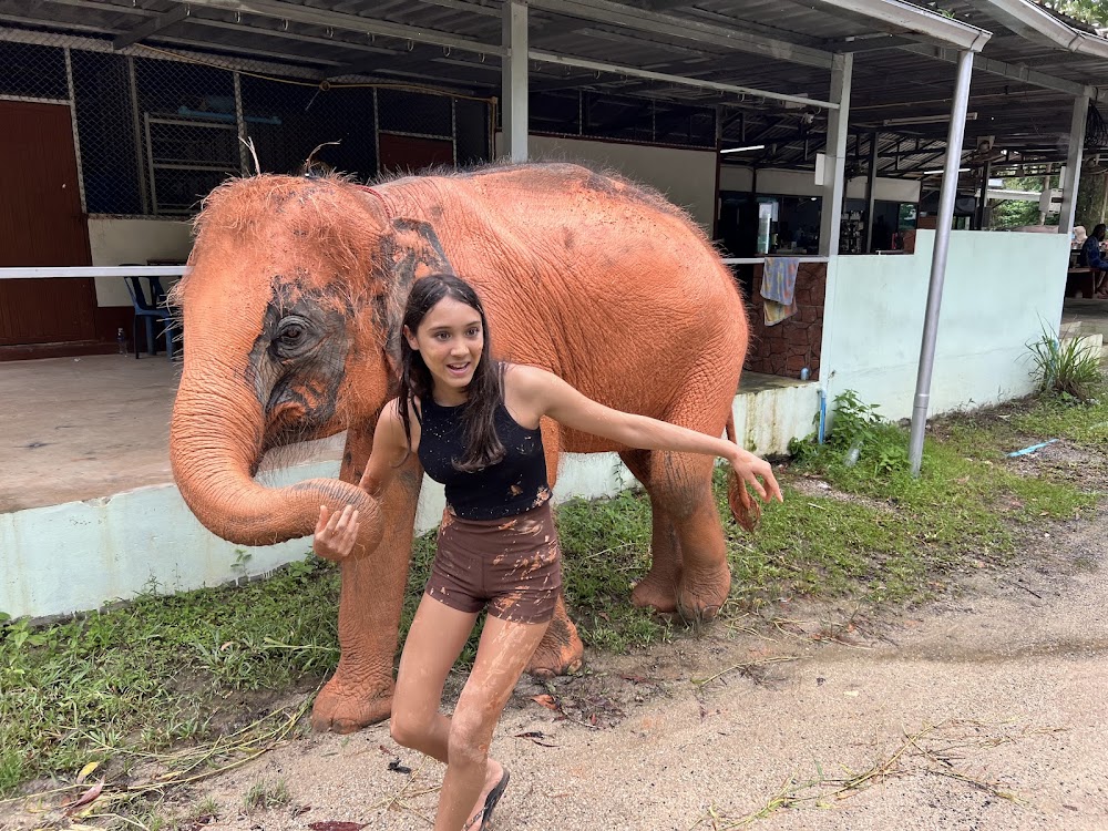 Elephant Retirement Park Phuket