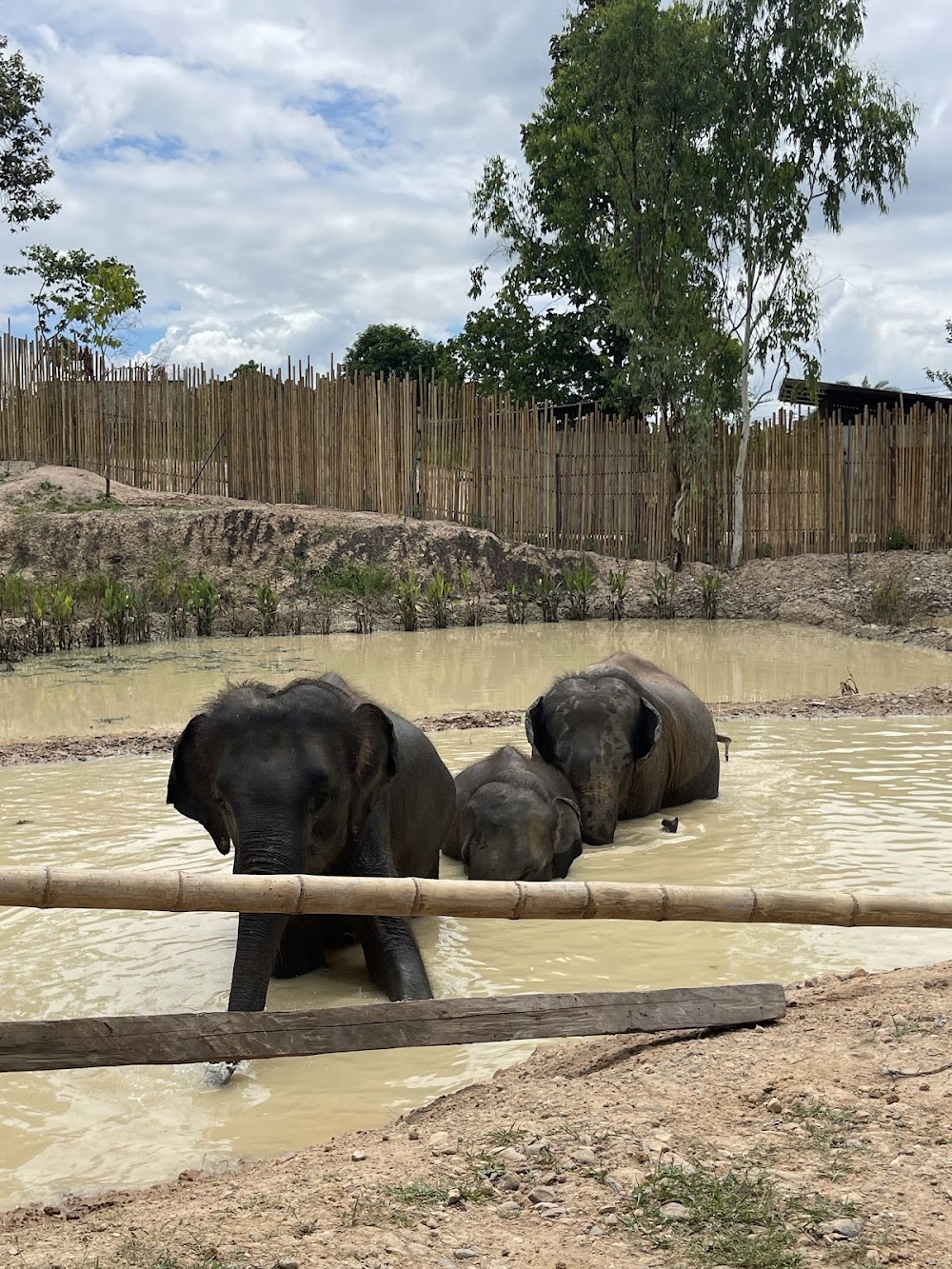 Elephant Sanctuary & Jungle Travel