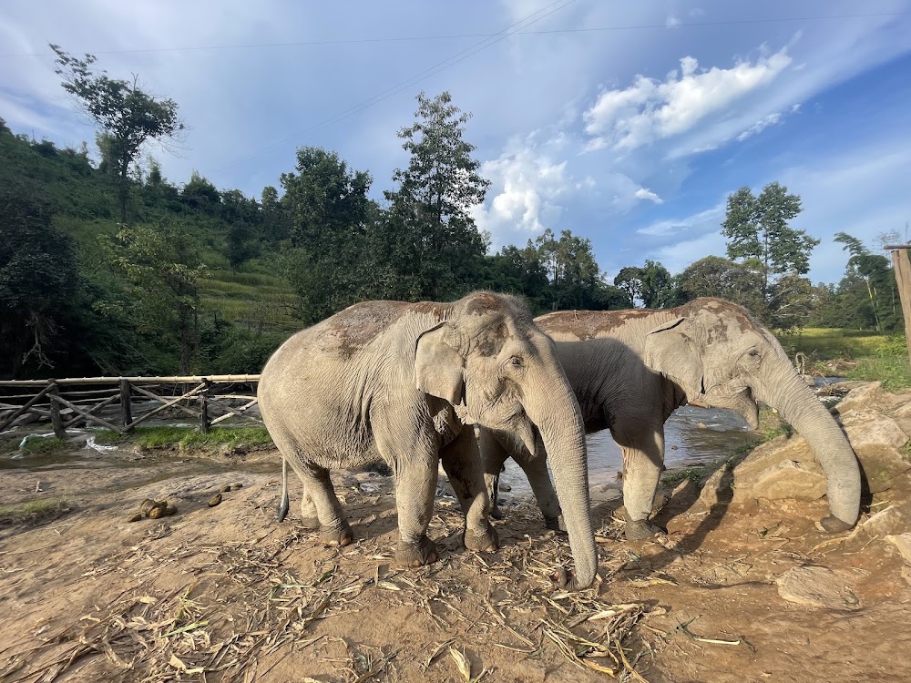 Elephant Village Sanctuary