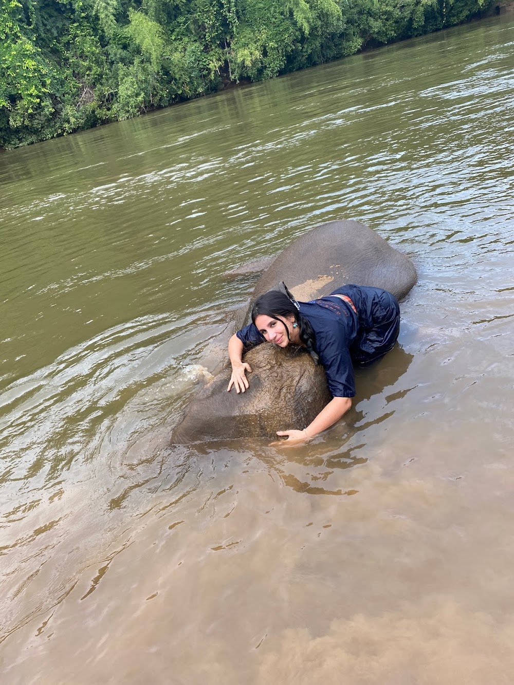 Elephants’ Home & Nature