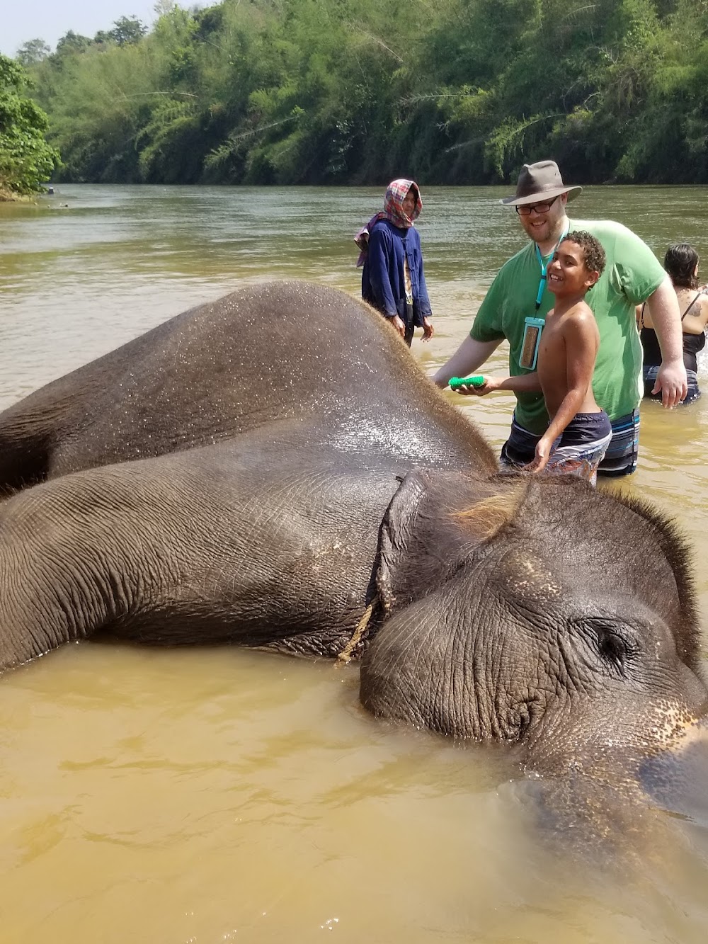 Elephants’ Home & Nature