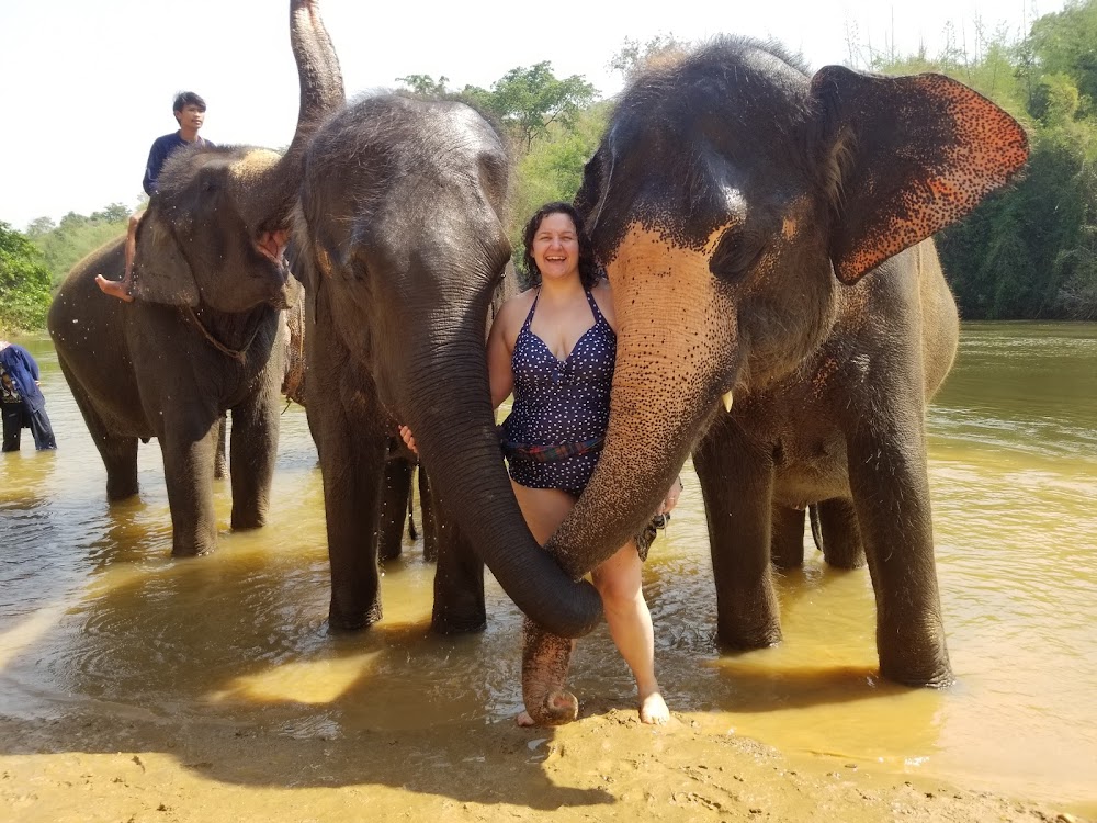 Elephants’ Home & Nature