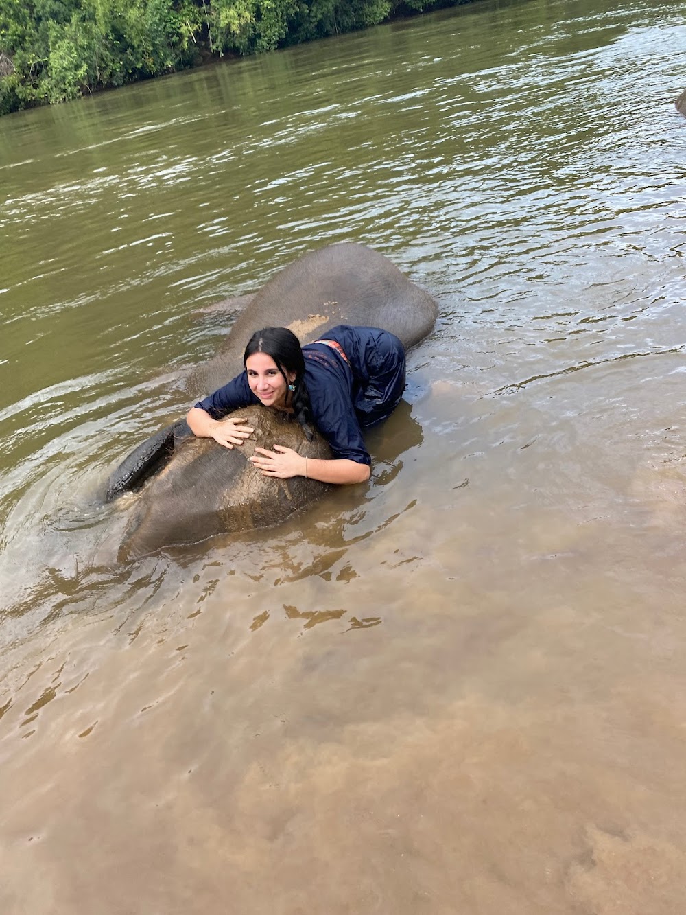 Elephants’ Home & Nature