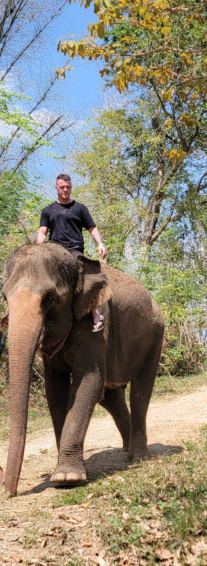 Elephants’ Home & Nature