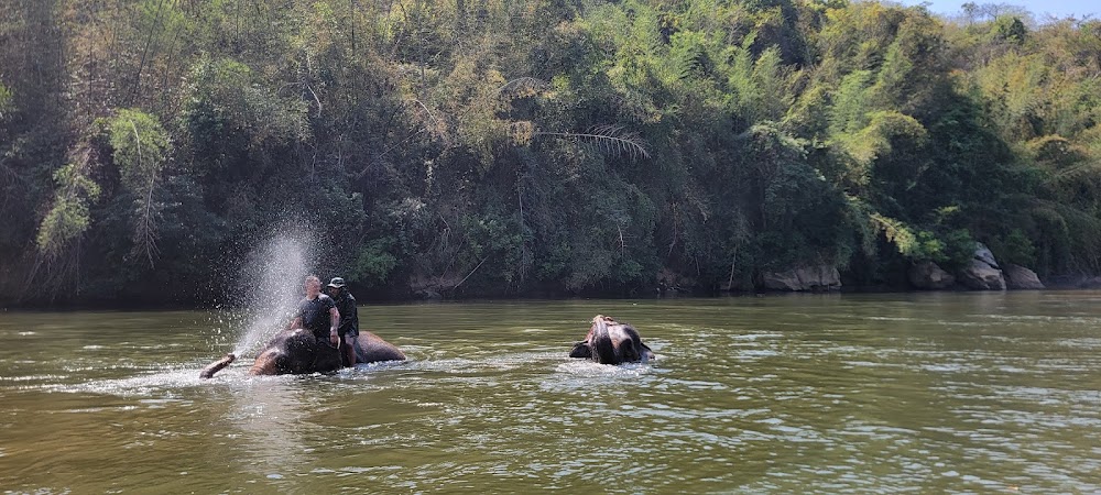 Elephants’ Home & Nature