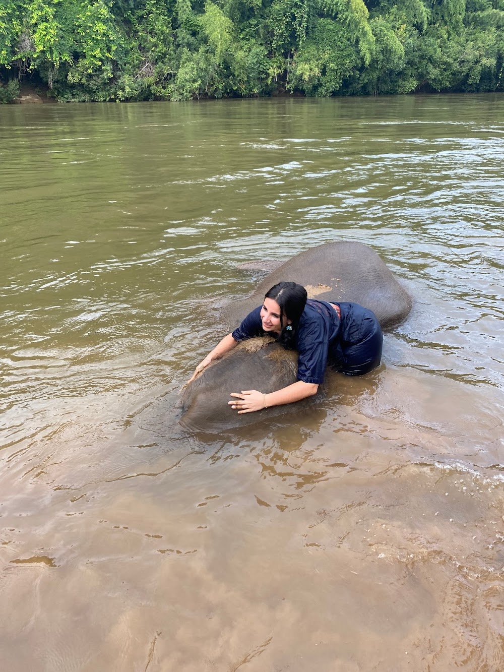 Elephants’ Home & Nature