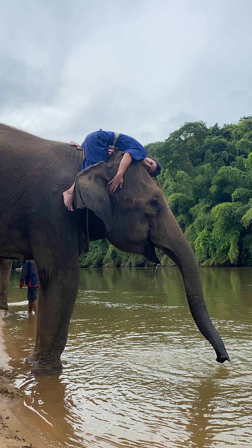 Elephants’ Home & Nature