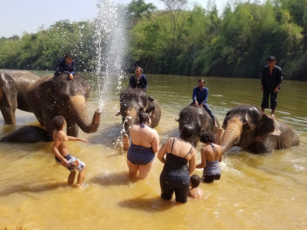 Elephants’ Home & Nature