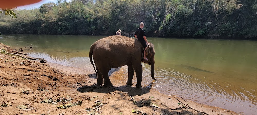 Elephants’ Home & Nature