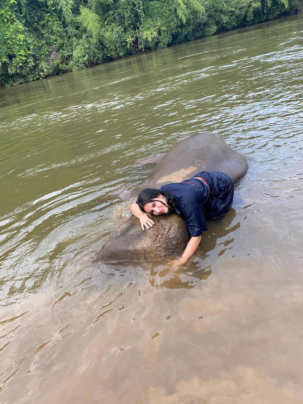 Elephants’ Home & Nature