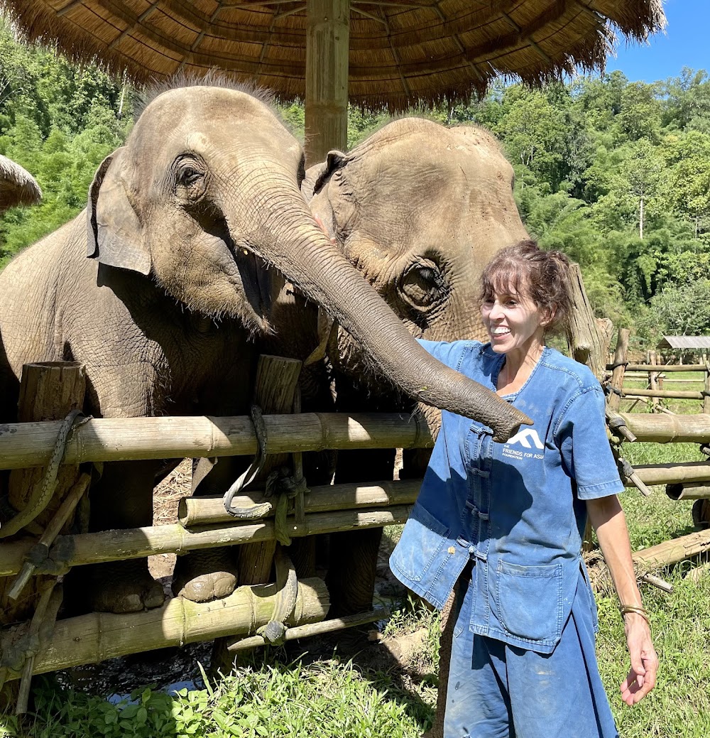 Elephants At Home