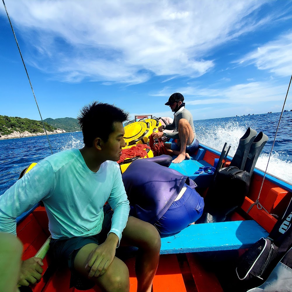 Freedive Koh Tao