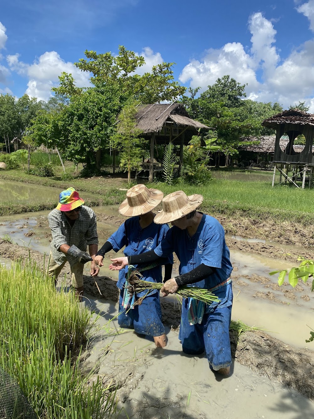Hang Tueng Farmstay And Workshop Chiang Mai
