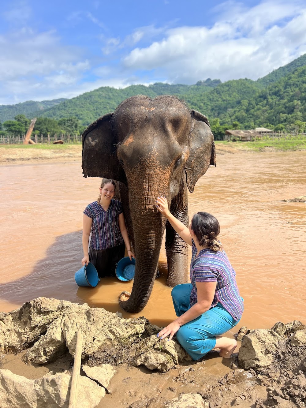 Happy Elephant Home