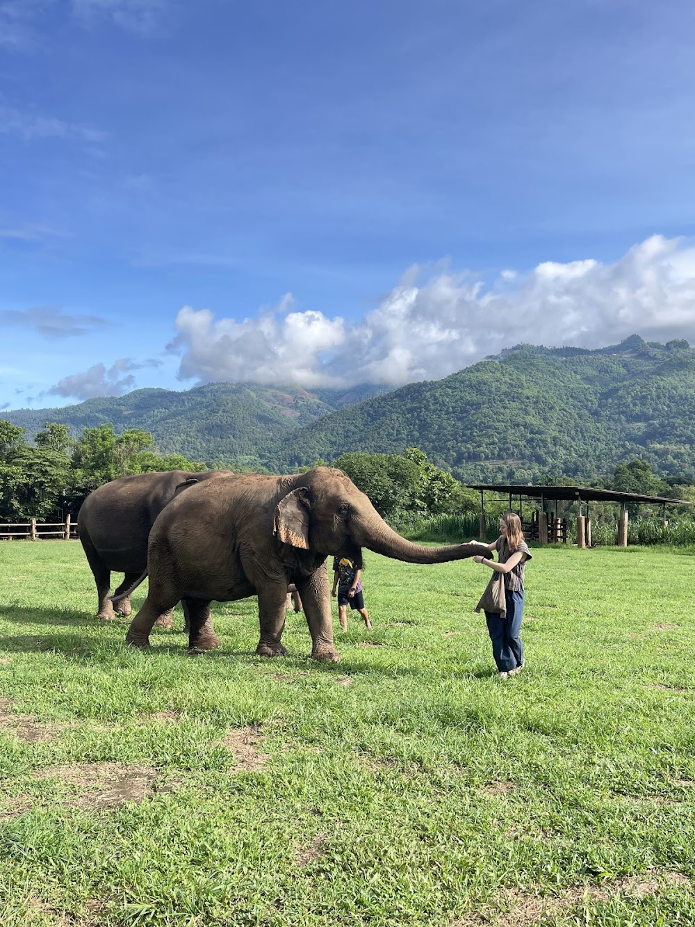Happy Elephant Home