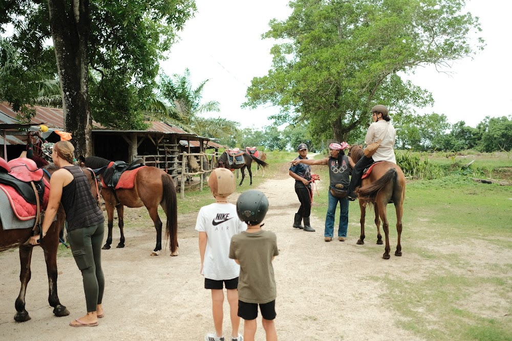 Horse Trail Thailand