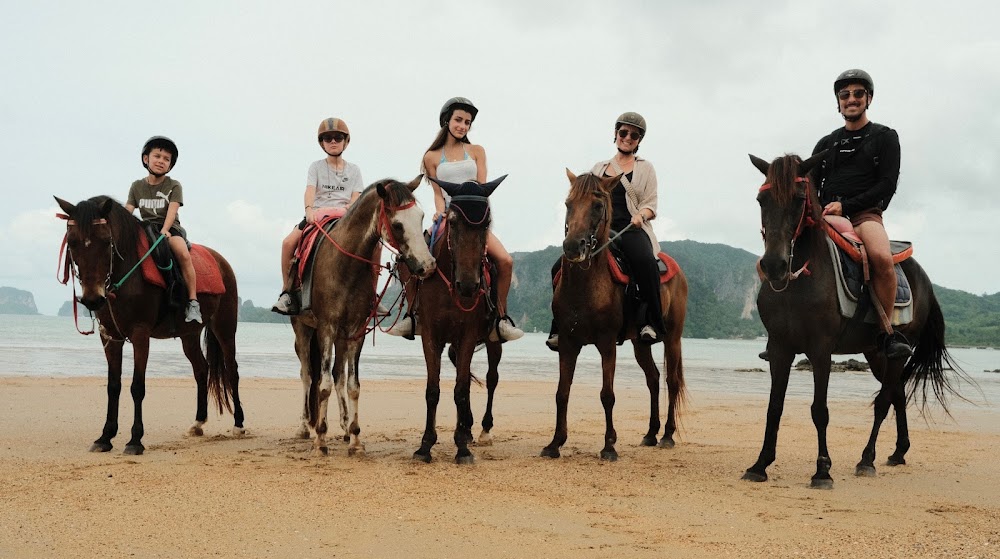 Horse Trail Thailand
