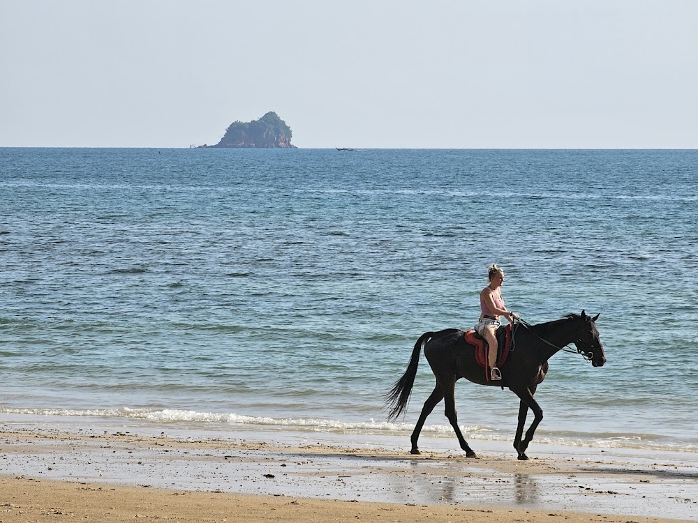 Horse Trail Thailand
