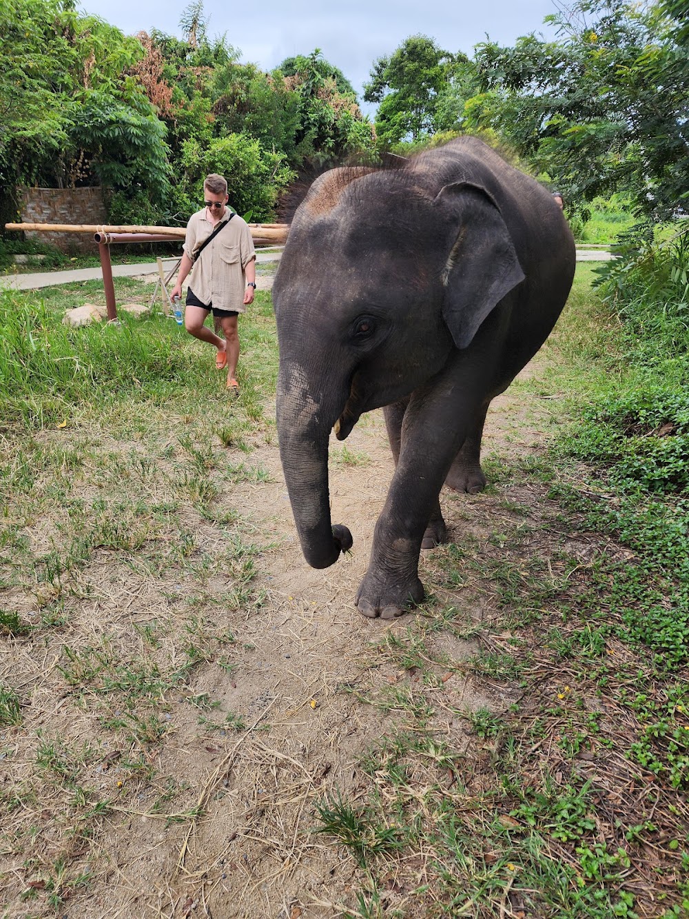 I Love Elephant Samui