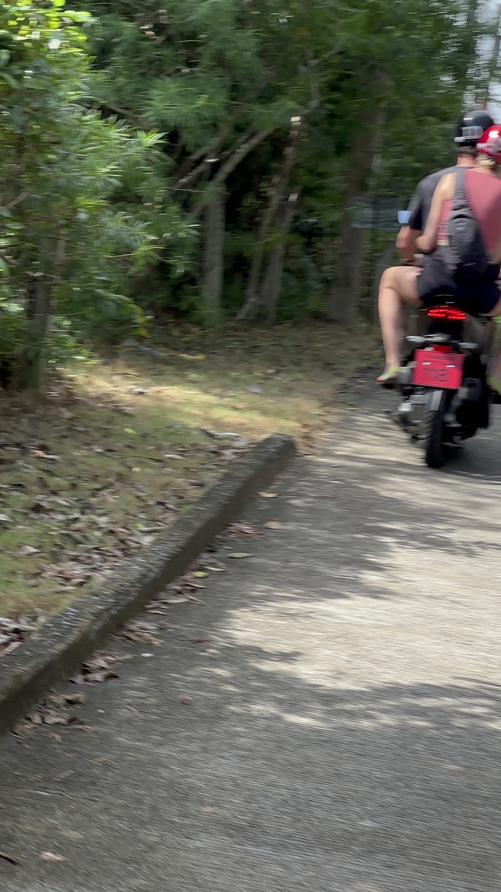 Id Scooter Rental