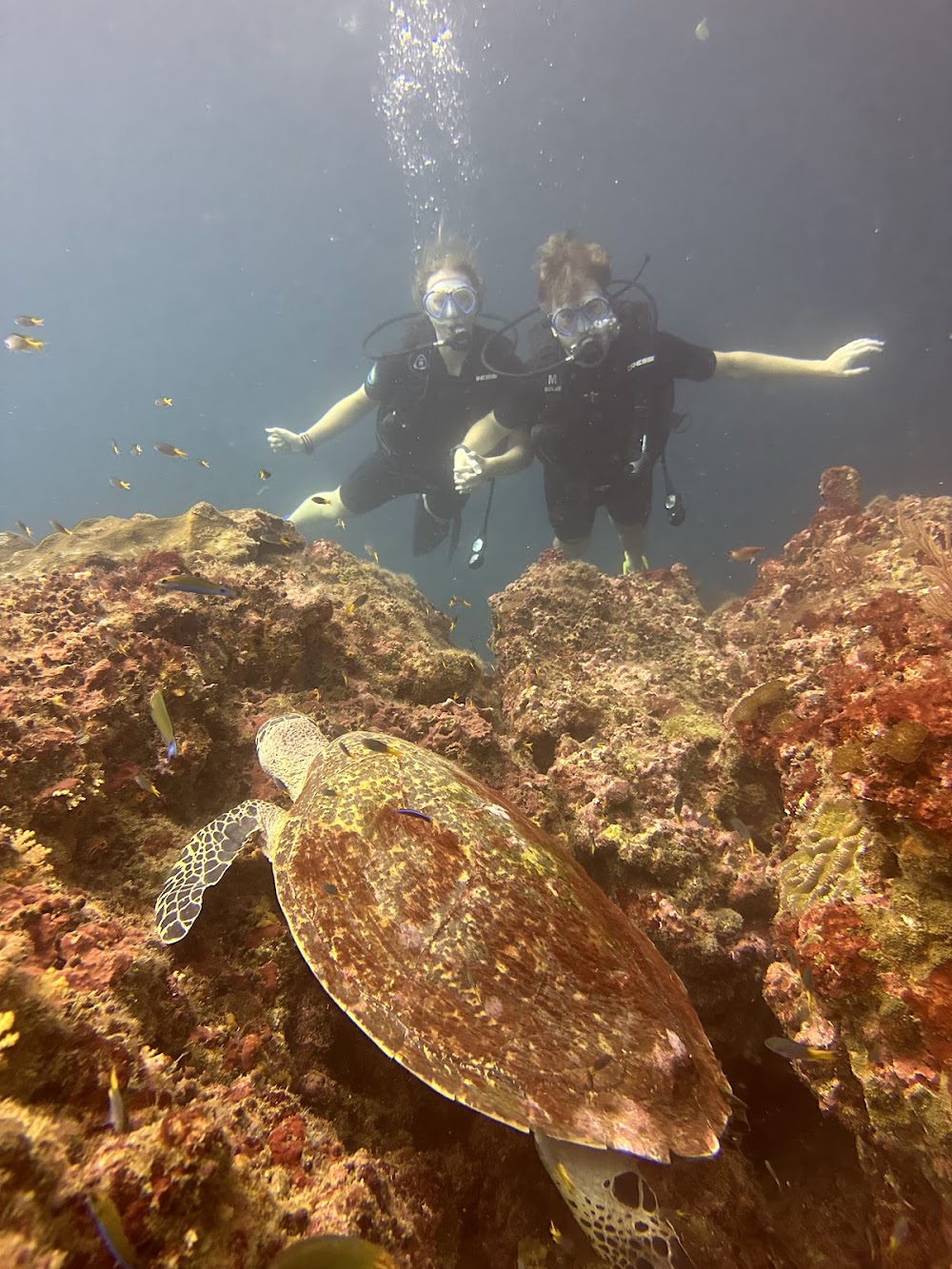 Island Divers
