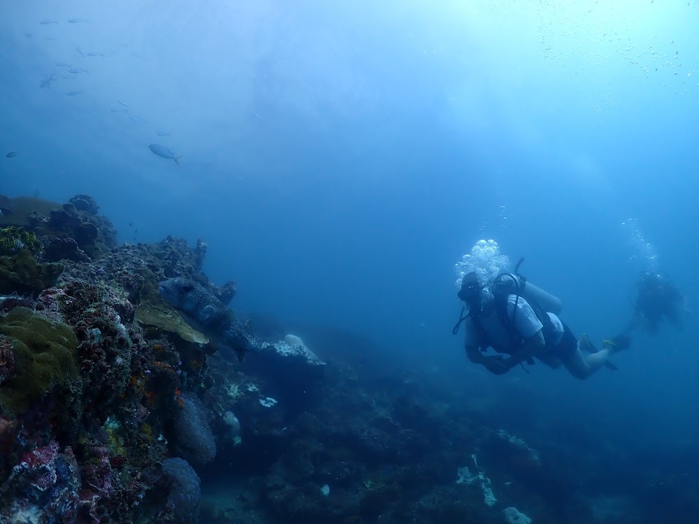 Island Divers