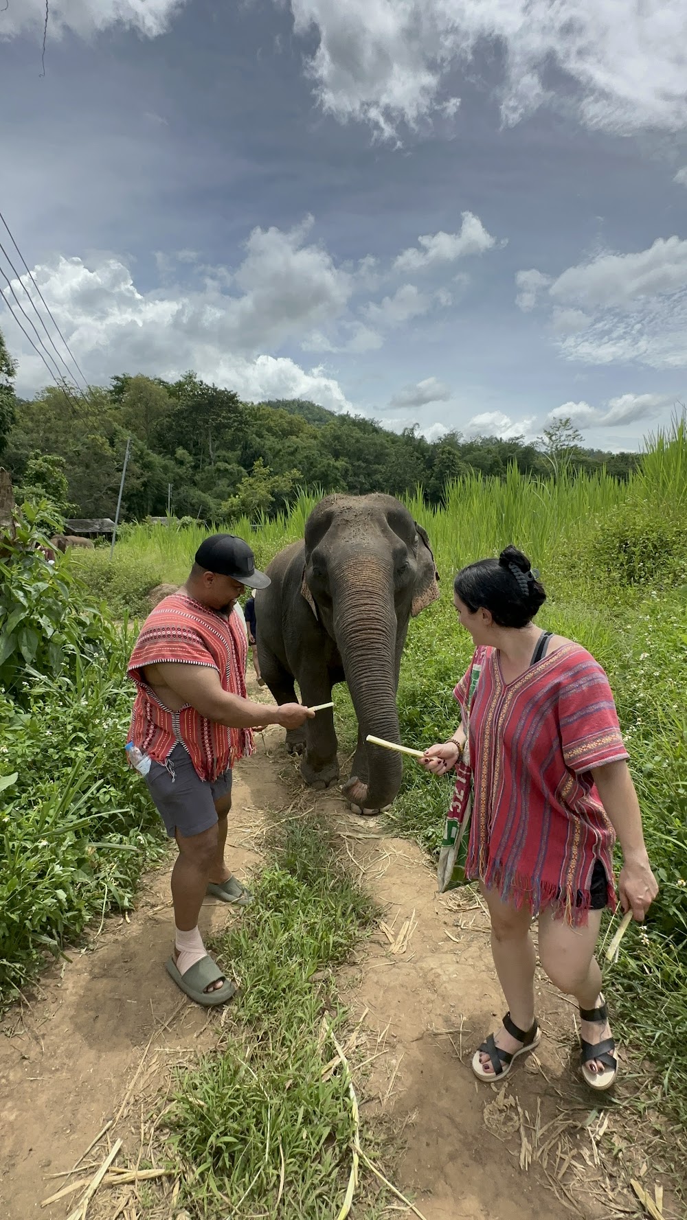 JohnnyBoy Elephant Care