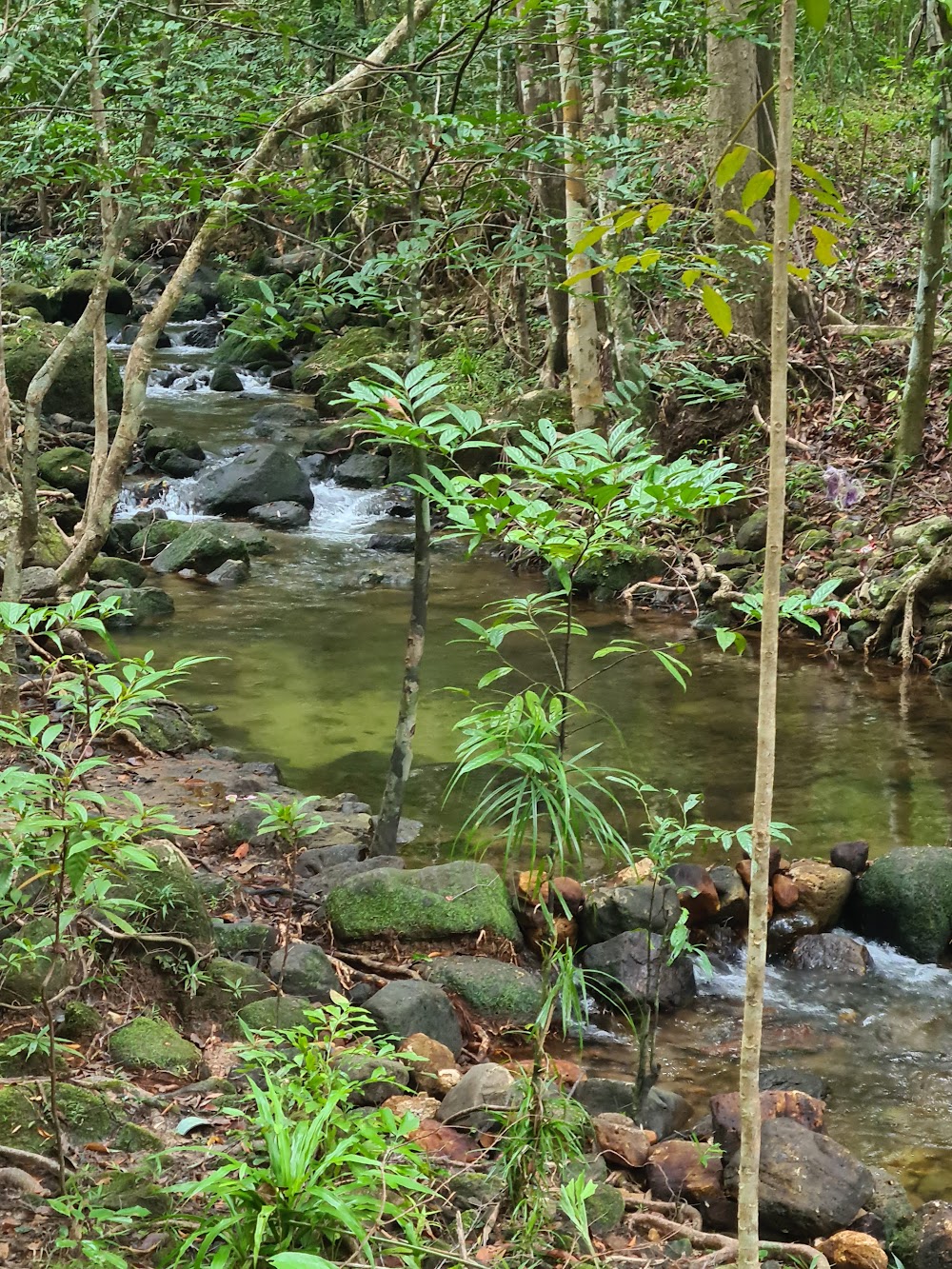 Kaeng Hin Phoeng