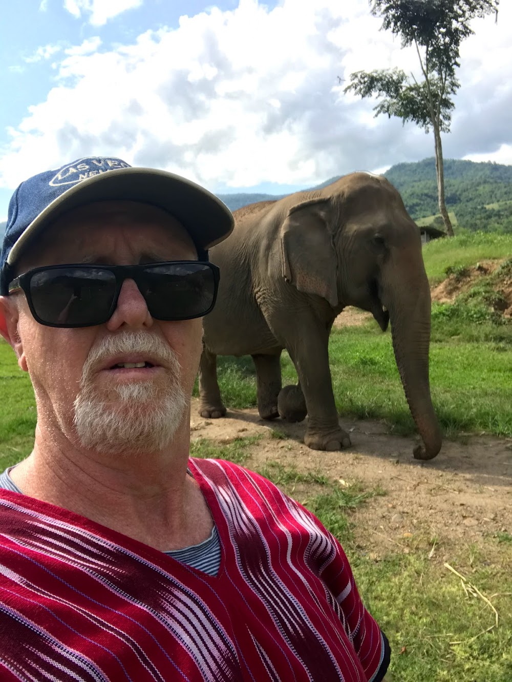 Karen Hilltribe Elephant Sanctuary