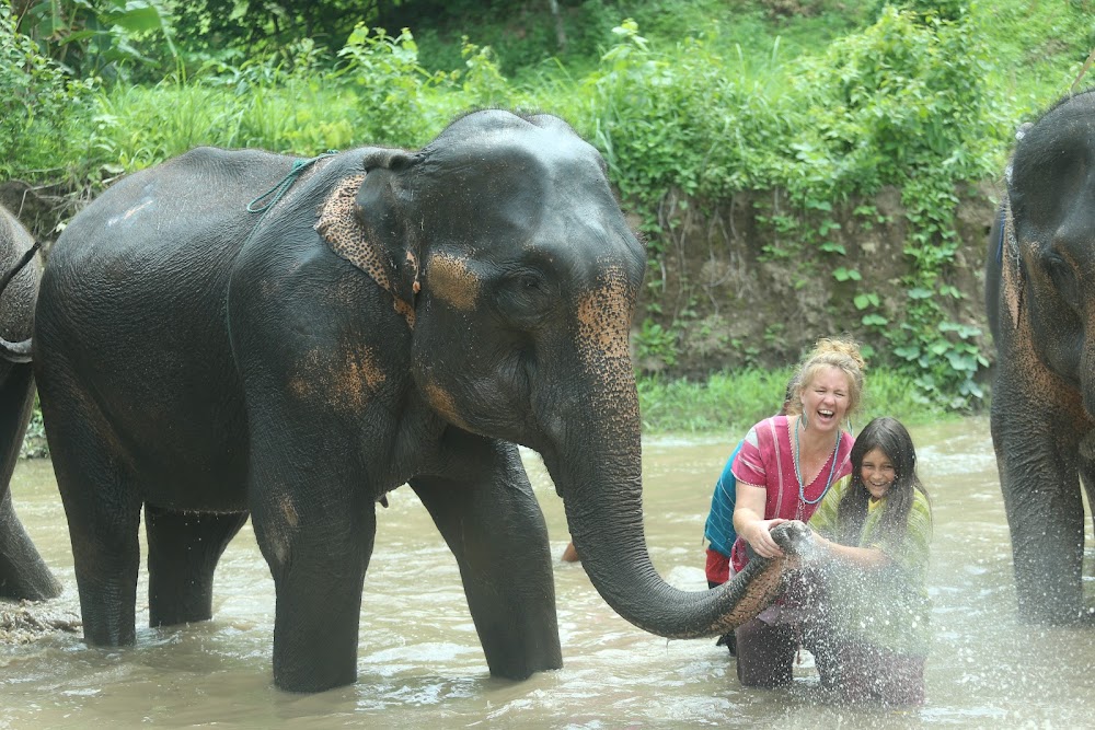 Karen Tribe Native Elephant