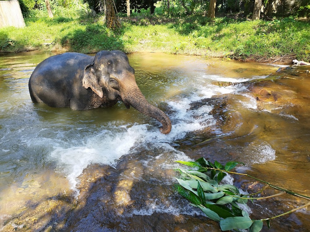 Khaolak Elephant Sanctuary