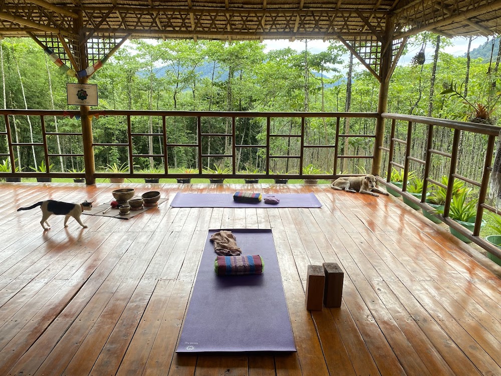 Khaosok Yoga