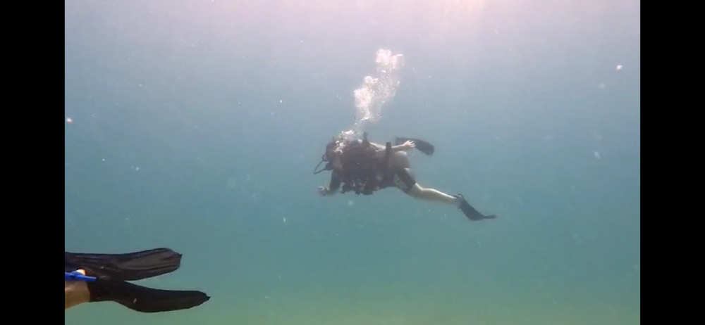 Koh Kood Divers