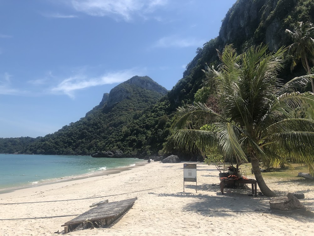 Koh Samui Bons Plans