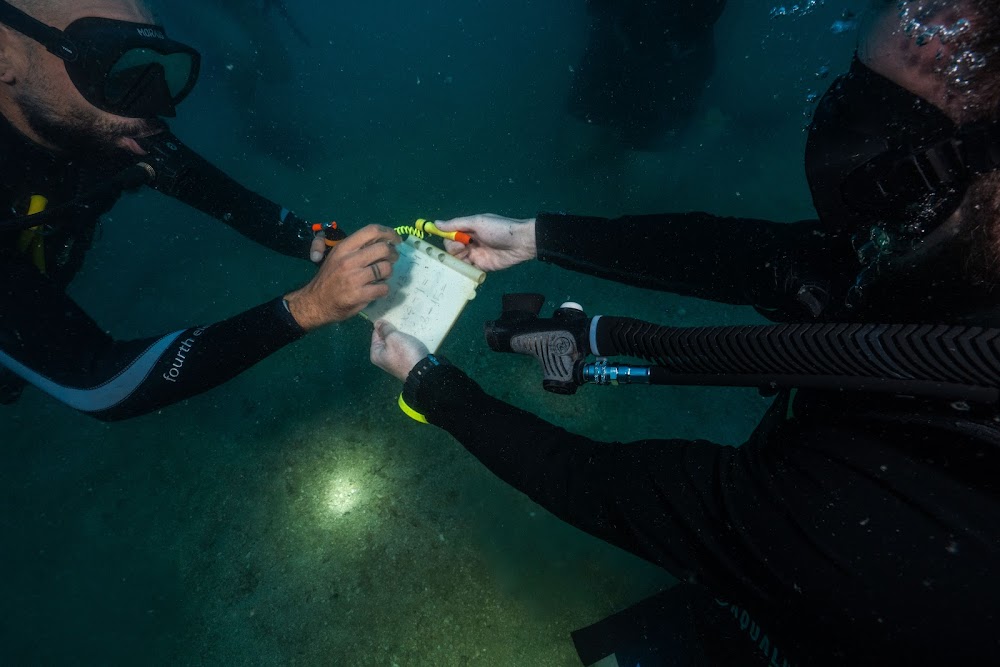 Koh Tao Divers