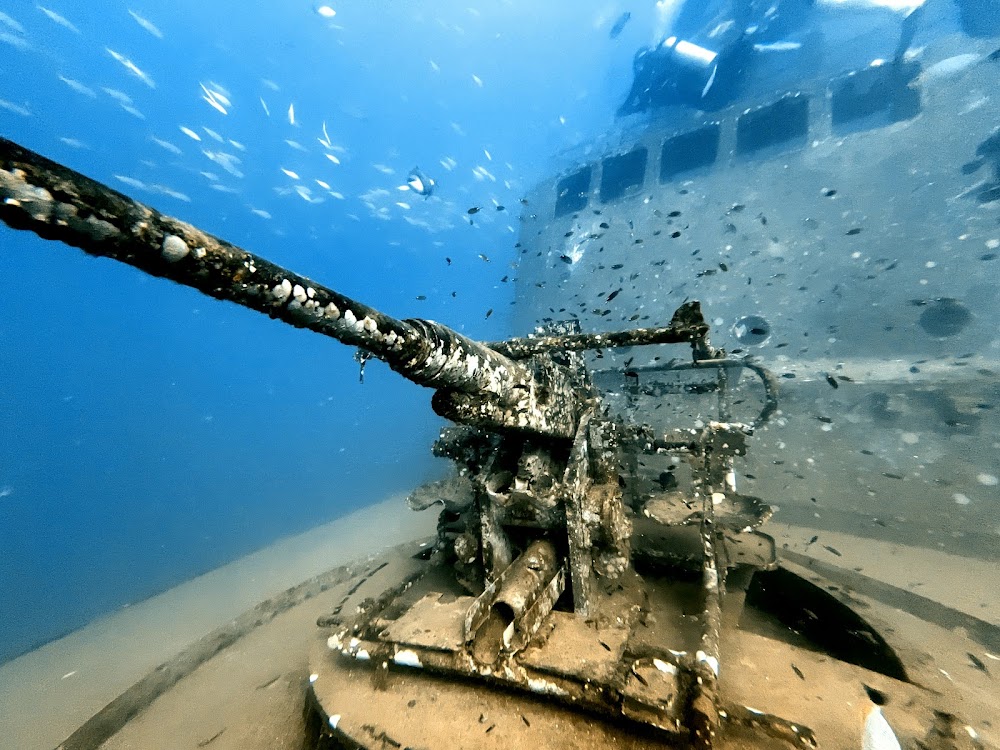 Koh Tao Divers