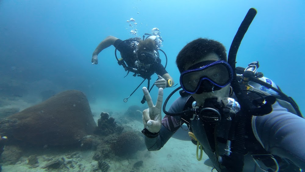 Koh Tao Dykskola – Day Diving