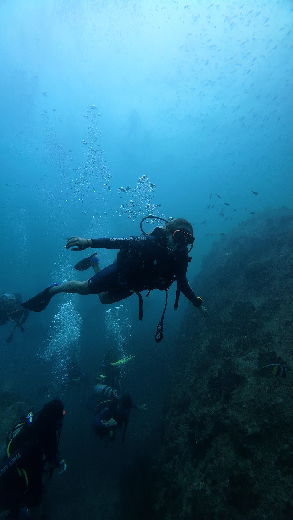 Koh Tao Scuba Club