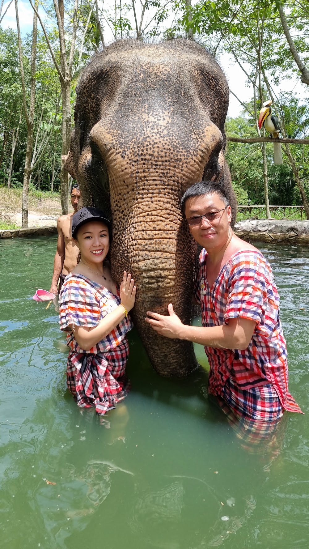 Koh Yao Elephant Care & House