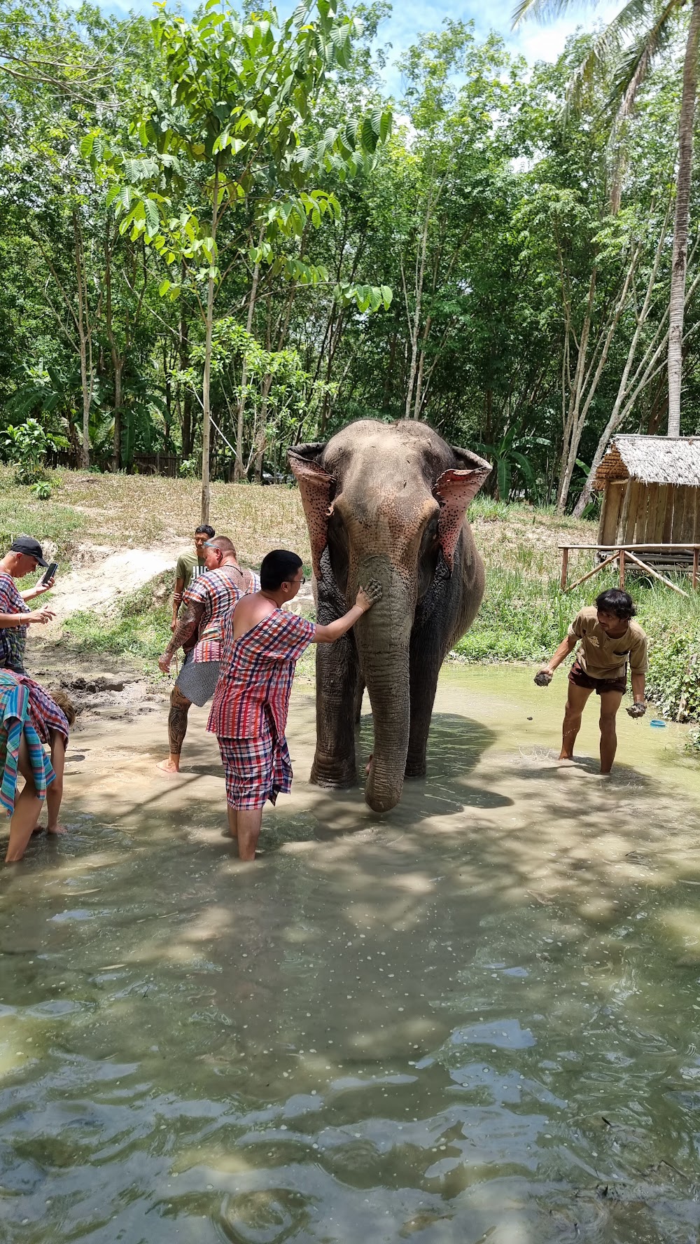 Koh Yao Elephant Care & House