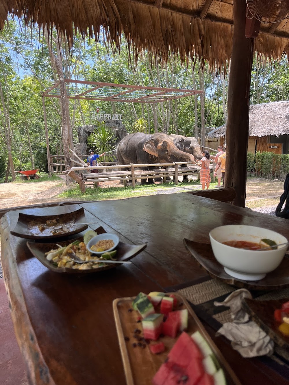 Koh Yao Elephant Care & House