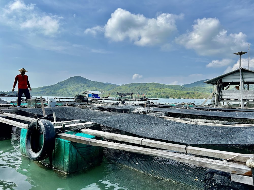 Kohyao Island Safari