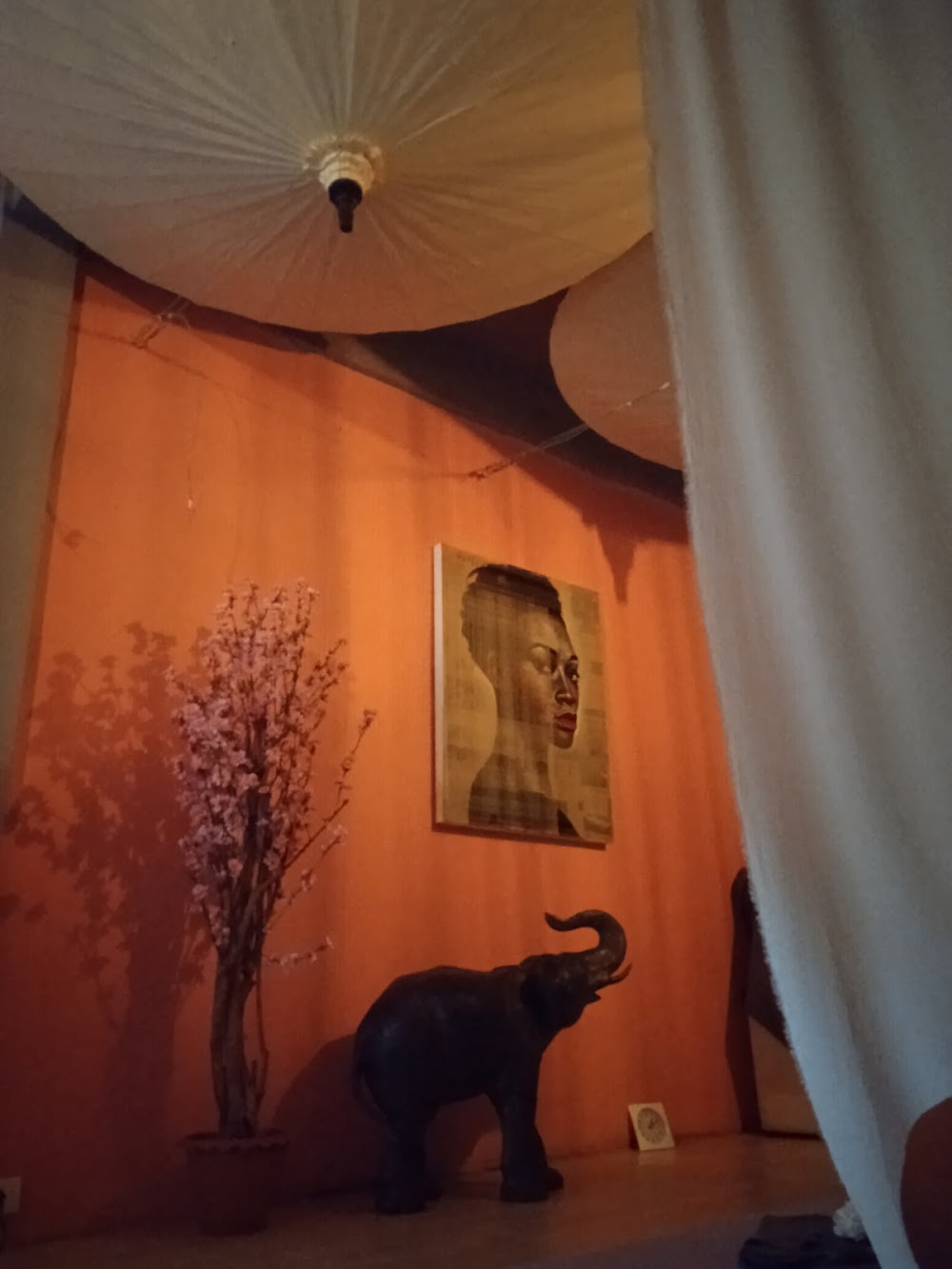 KOSY Massage & Cut