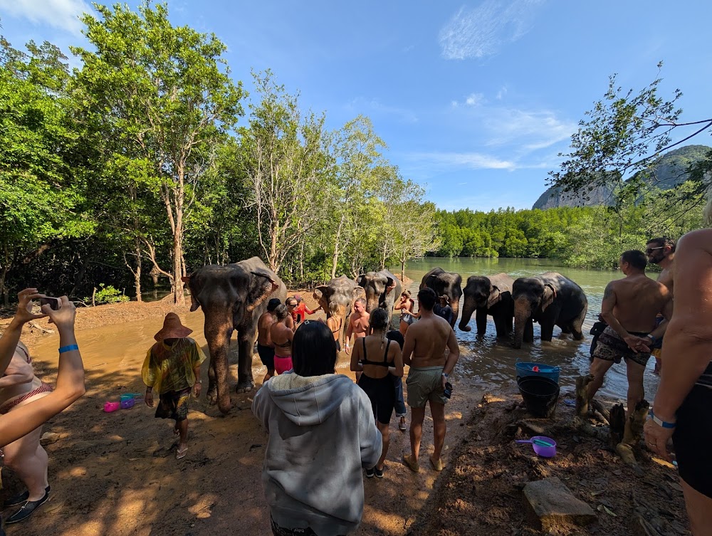 Krabi Elephant Shelter