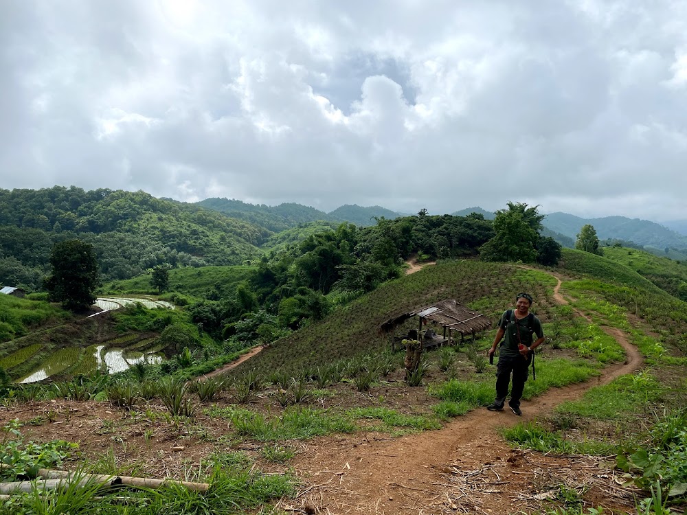 Lanna Cultural Tours