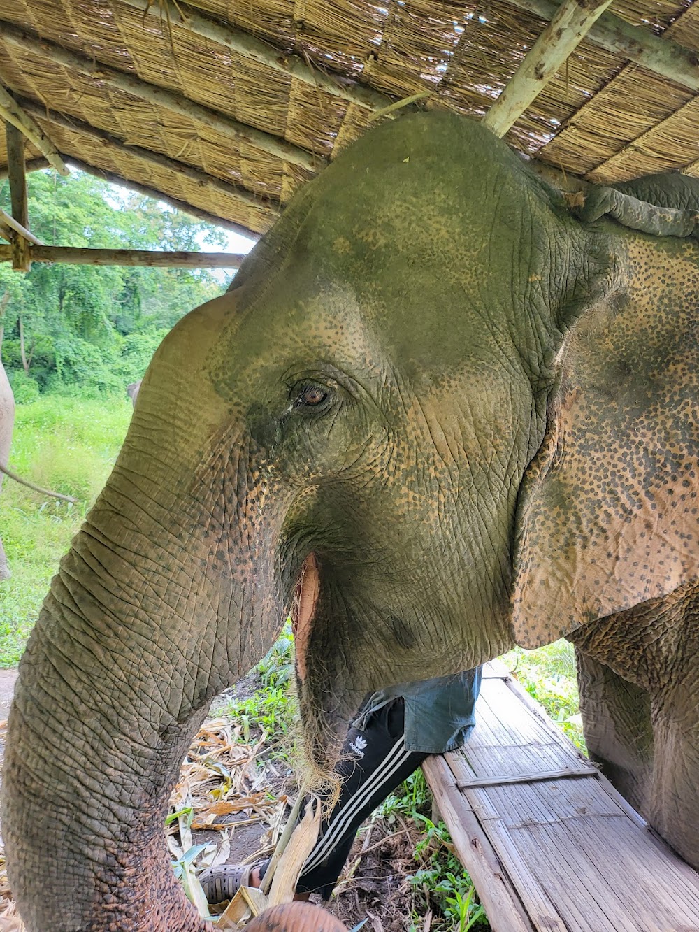 Lanna Kingdom Tours