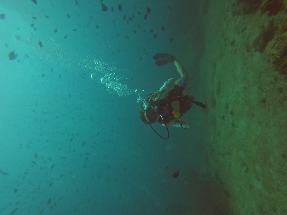 Love Diving Phuket