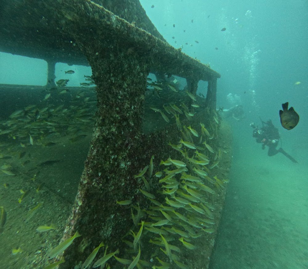 Love Diving Phuket