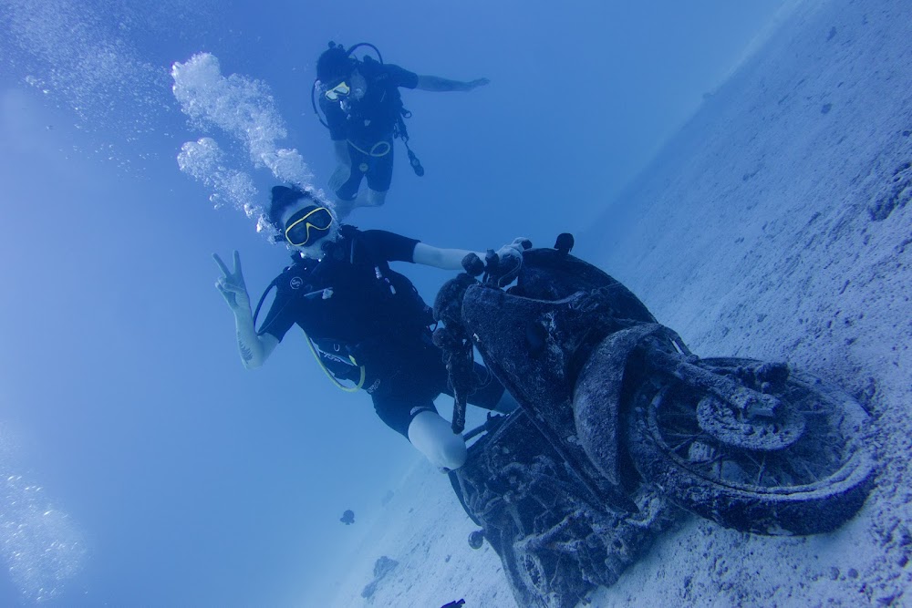 Mantaraydiving