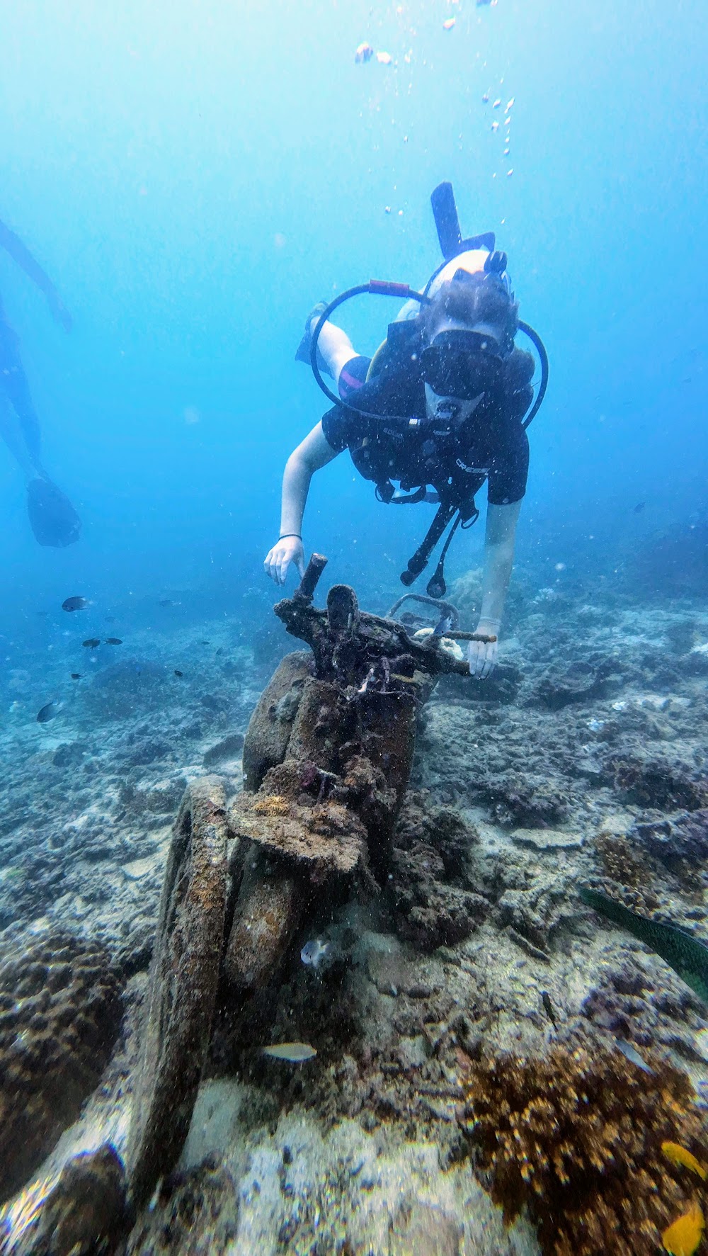 Mojo Divers